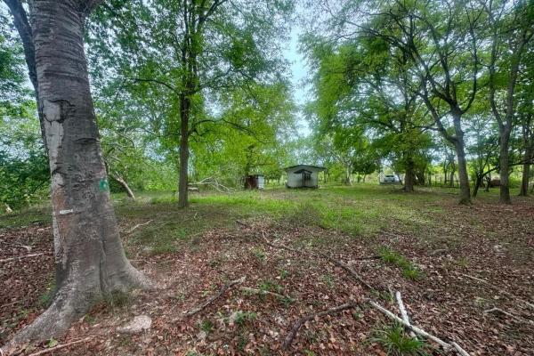Venta de terreno de 9.9 hectáreas cerca de playas en el higo, san carlos