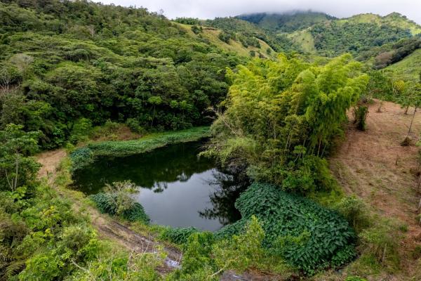 Spring-fed lake & 10 hectares for sale in rovira d