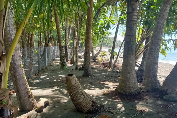 Terreno frente al mar en puerto armuelles panamá