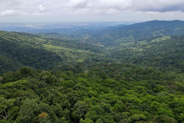 Land for sale in cerro azul
