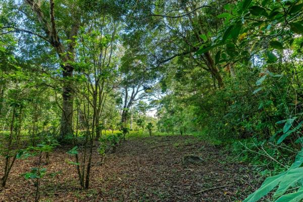 Terreno panorámico en boquete, panamá