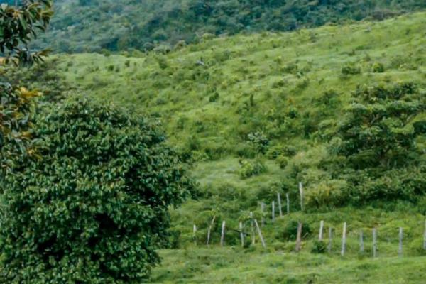11 hectares land for sale in caldera boquete