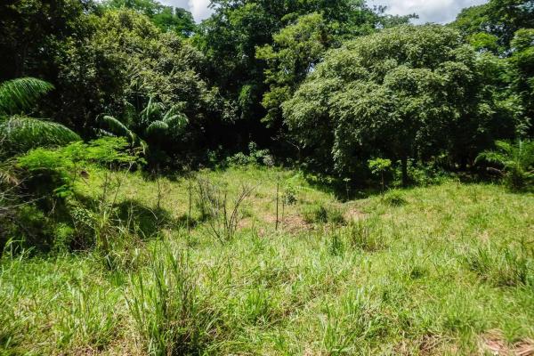 Expansive land for sale in las lomas, david