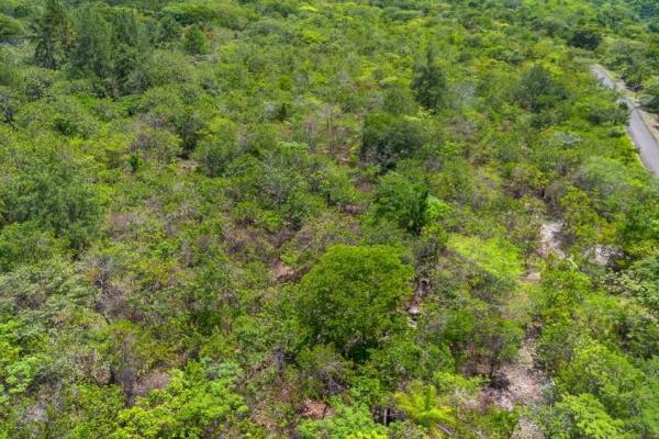 Spacious 59,086 m² land in síndigo, caldera