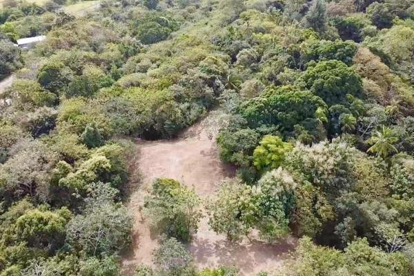 Finca de 4.3 hectareas – proyecto ideal comunidad