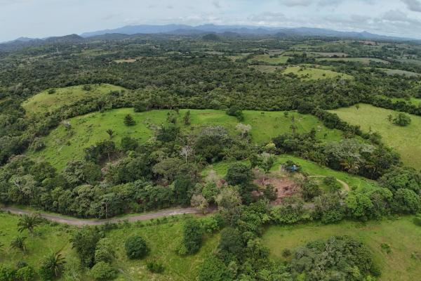Se vende terreno para desarrollo residencial en el trapichito, la chorrera