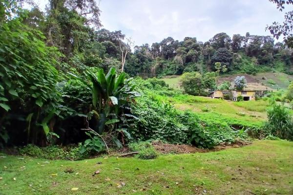 Beautiful park property in high-altitude location