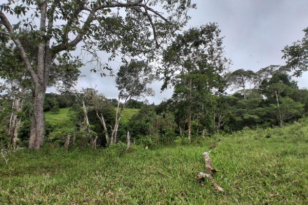 Finca con tierra negra, pasto, clima fresco y bien ubicada.