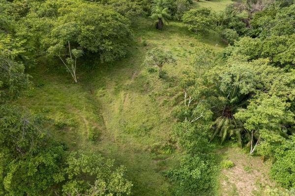 Se vende 2.02 hectareas planas en las lajas chiriqui