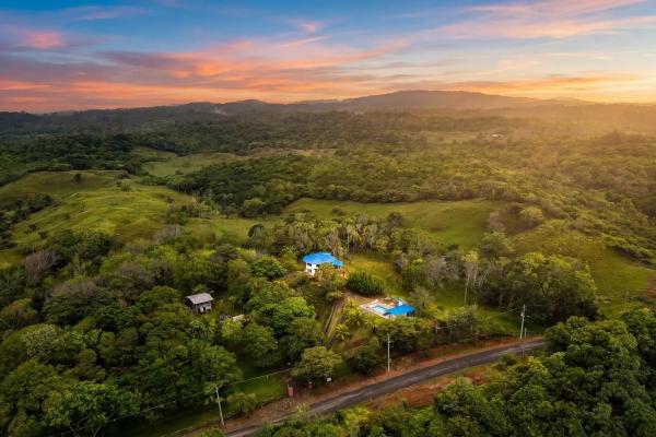 55 hectare cattle farm for sale in colon