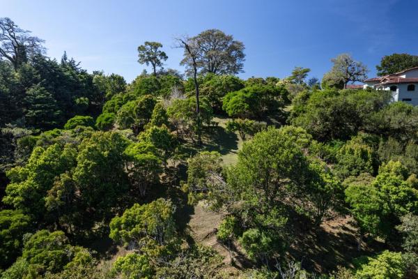 Luxury estate lot jaramillo with barú views