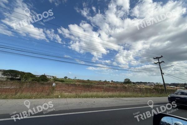 Land for sale in mañanitas