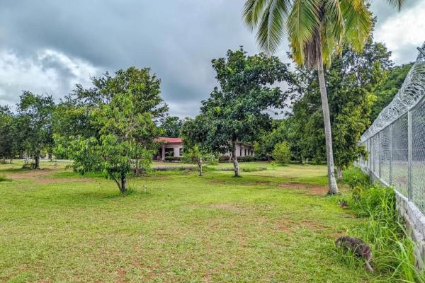 Roadside property with 2,906 m² in dolega