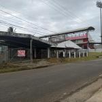 Rentals in la chorrera