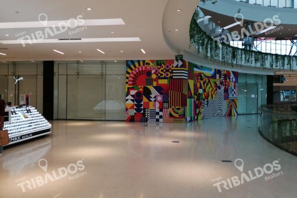 Local en alta plaza mall
