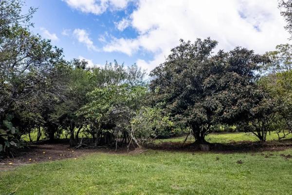 Casa de campo en las tierras altas con 2 hectáreas en volcán