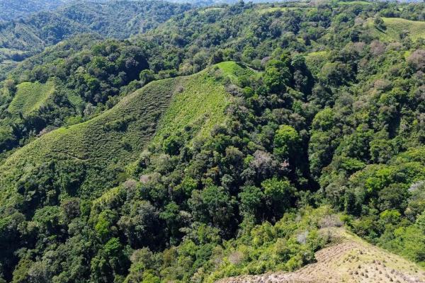 Amplia propiedad de 146.652 ha con fuentes de agua
