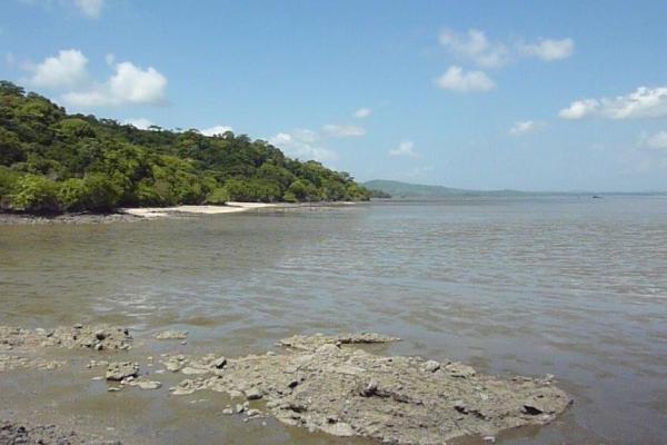 Beautiful and pristine beachfront property capira