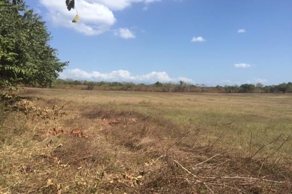 4.4-hectare land opportunity near buenaventura