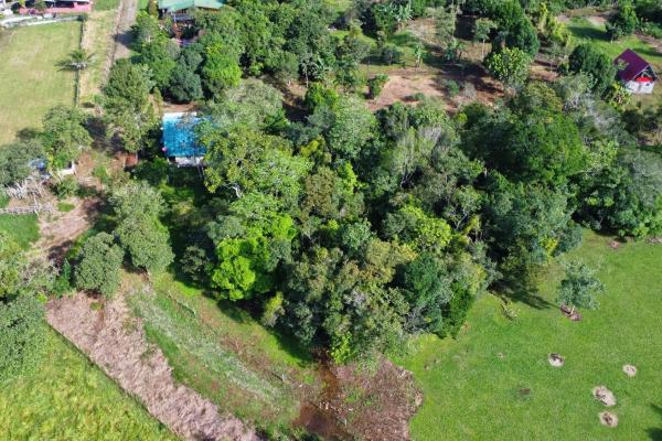 Lote de 1.86 hectáreas en potrerillos arriba dolega