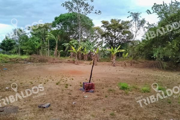 Lote for sale