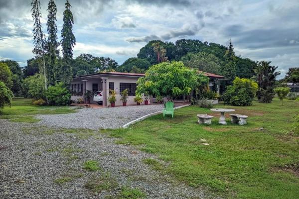 Roadside property with 2,906 m² in dolega