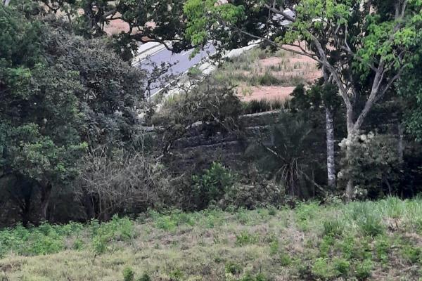 Casa de 4 habitaciones en un terreno de 1.85 acres en venta en las lomas.