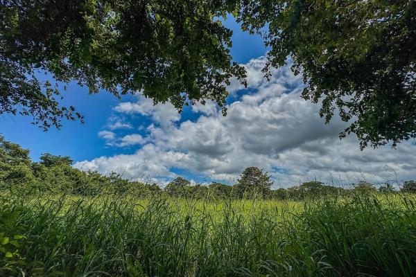 +9 hectares of flat beachfront land for sale