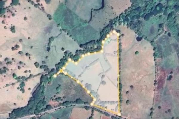 For sale land 9.8 hectares in las tablas