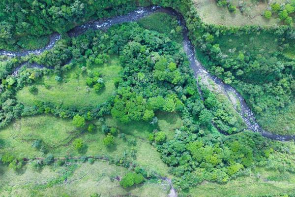 Naturaleza, espacio y potencial en un solo lugar
