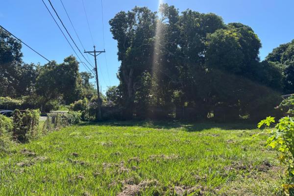 Venta de propiedad, terreno en coronado