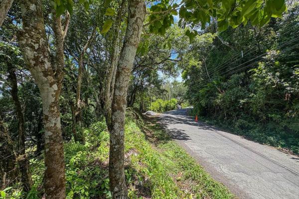 7,843 m² lot for sale in volcancito arriba