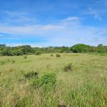 Farm for sale in boqueron, cordillera. chiriqui
