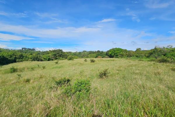 Farm for sale in boqueron, cordillera. chiriqui