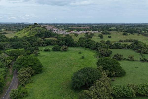 For sale land 9.8 hectares in las tablas