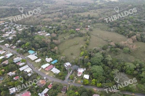 Finca en nuevo san juan , colón , 250 ha