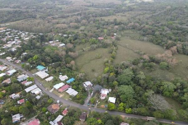 Finca en nuevo san juan , colón , 250 ha