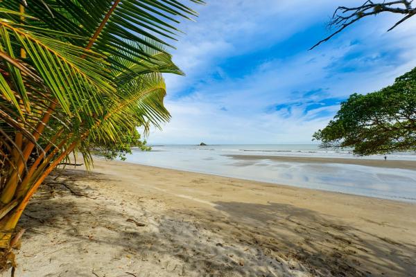 Oceanfront lot for sale