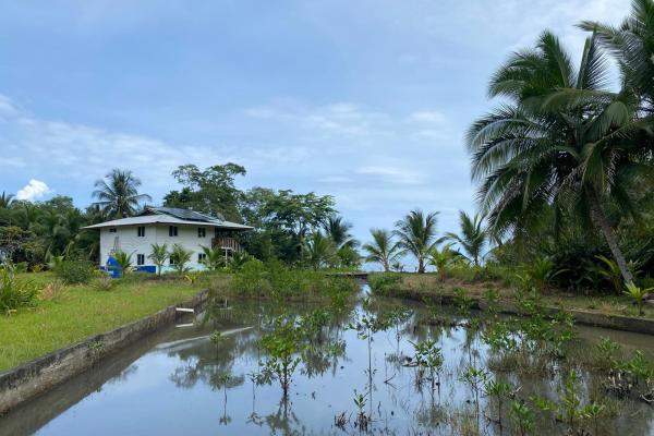 3 hectares of caribbean oceanfront
