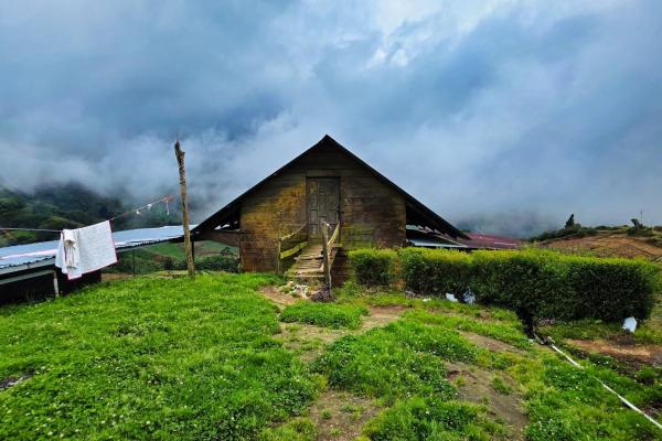 Finca agrícola en venta – cerro punta, chiriquí