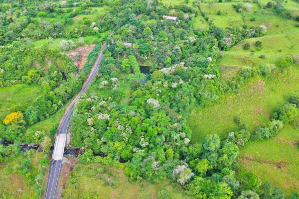 Finca residencial de 3,69 hectáreas con lagos, río y bosque.