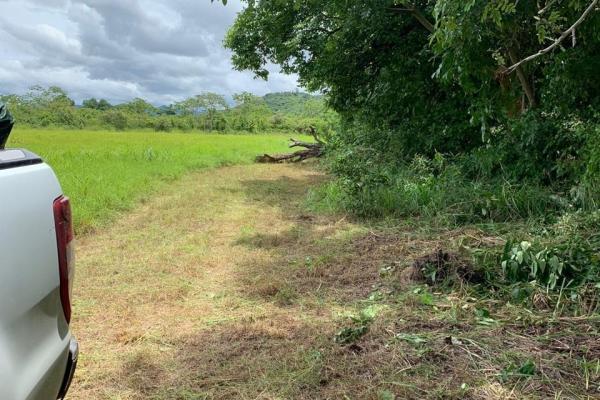Se vende terreno de 5 hectareas en penonomé