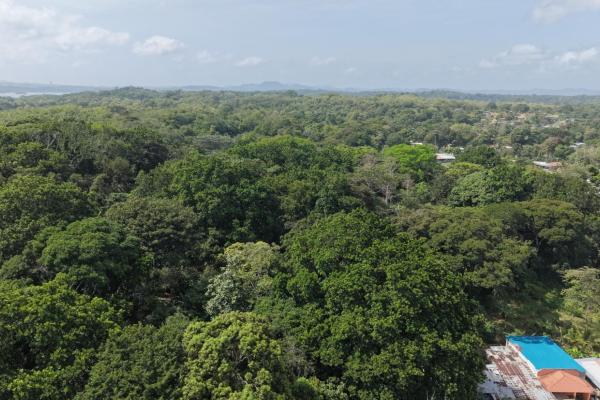 Venta de terreno en san juan colón