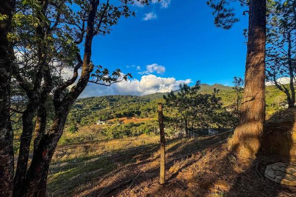 Lote con vista a la montaña en venta en jaramillo, boquete