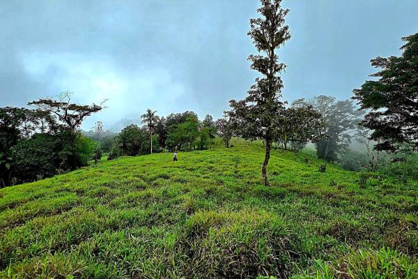 96.10 hectare in boquerón, las monjas