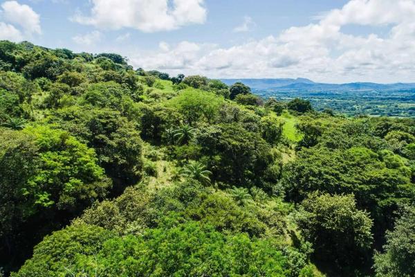 Expansive land for sale in las lomas, david