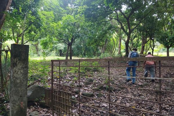 Sale of land 116 acres in san miguel, pacora river
