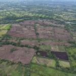Flat farm for sale in siogui, bugaba, chiriqui