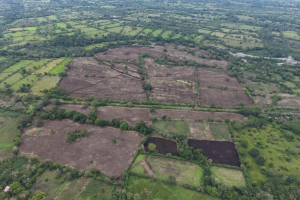 Flat farm for sale in siogui, bugaba, chiriqui