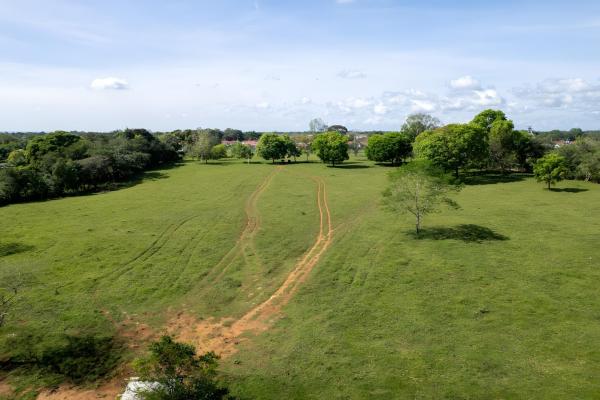 Four hectare property for urbanization in david